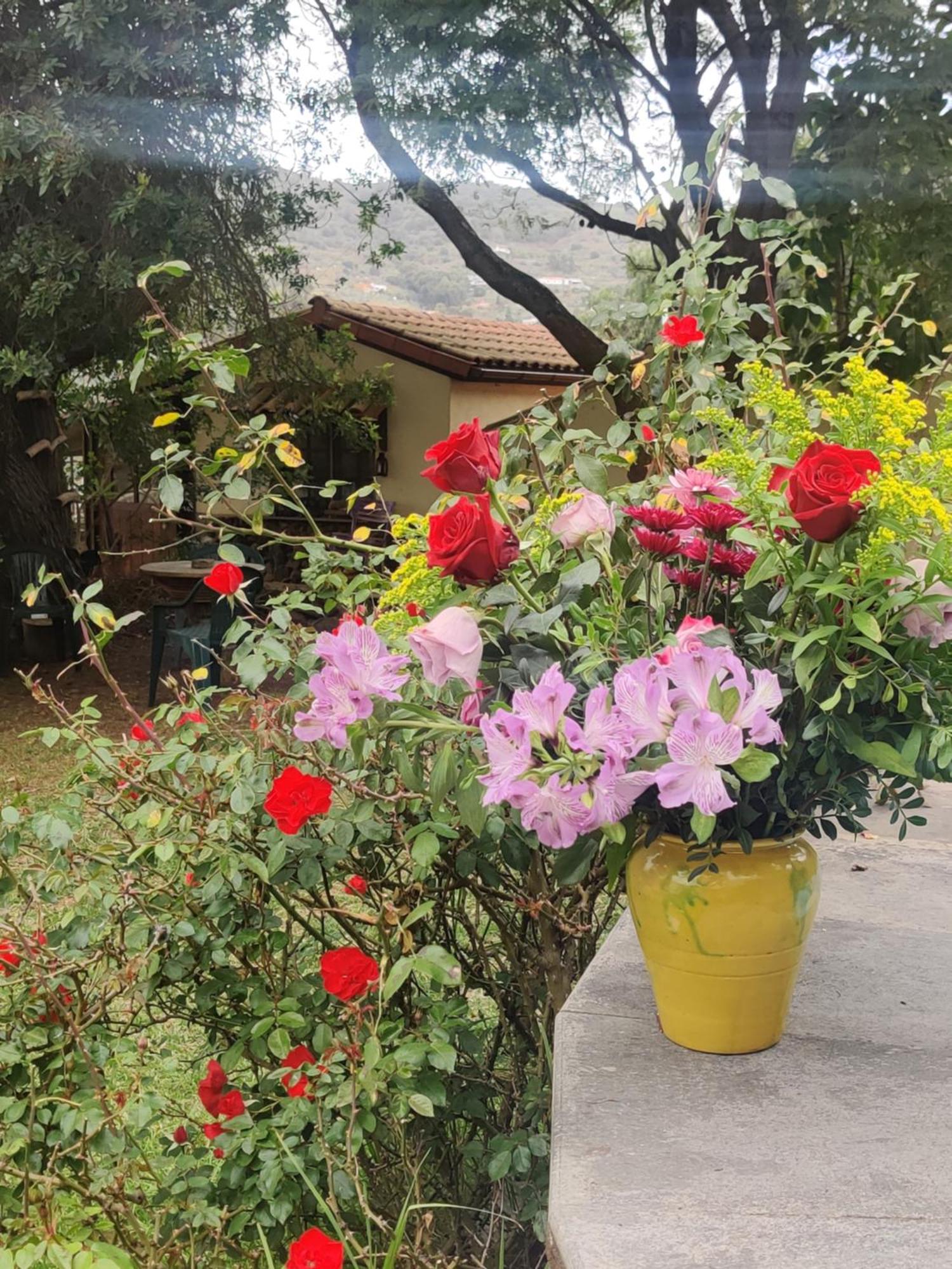 Estudio Wabi-sabi Homestay *