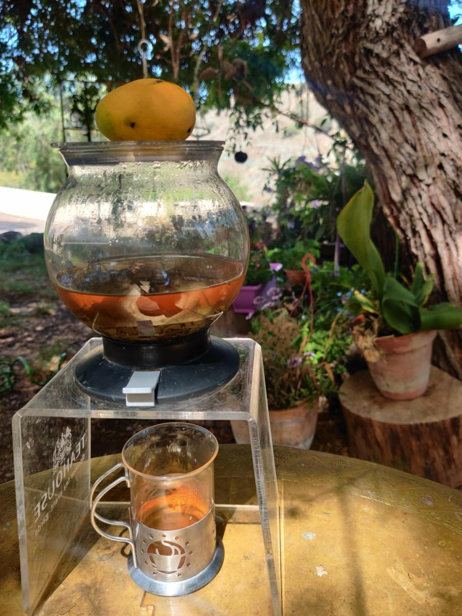 Estudio Wabi-sabi Homestay