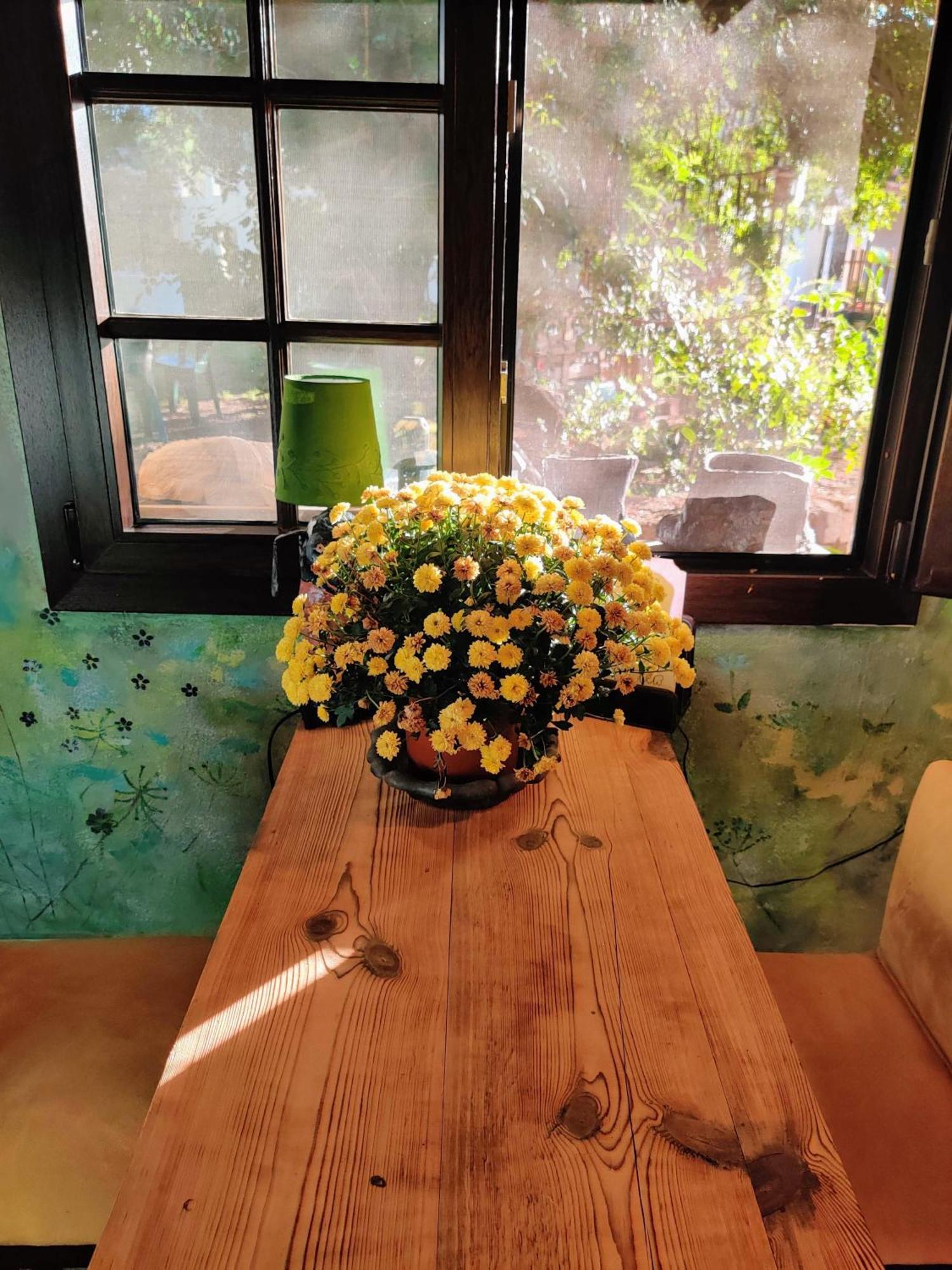 Quarto em Acomodações Particulares Estudio Wabi-sabi